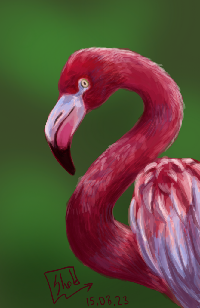 Flamingo