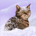 The_cat_in_the_snow