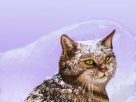 The_cat_in_the_snow