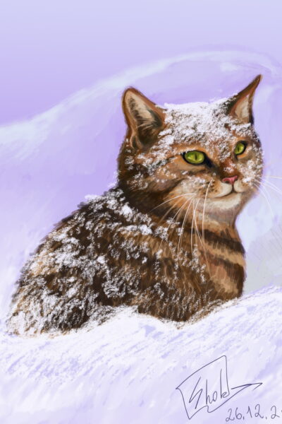 The_cat_in_the_snow