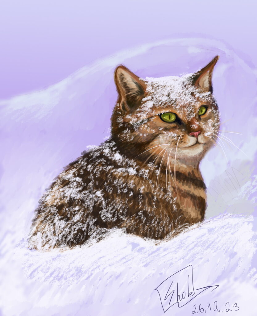 The cat in the snow