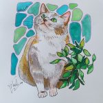 markers