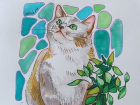 markers